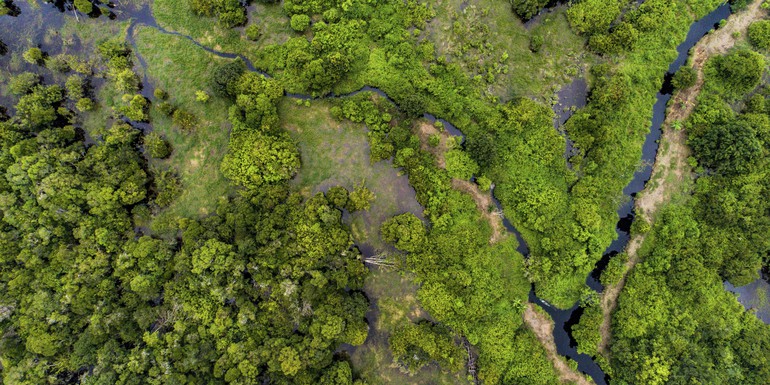 Photo by Nanang Sujana CIFOR Peatland forest in Parupuk village, Katingan. Central Kalimantan.jpg