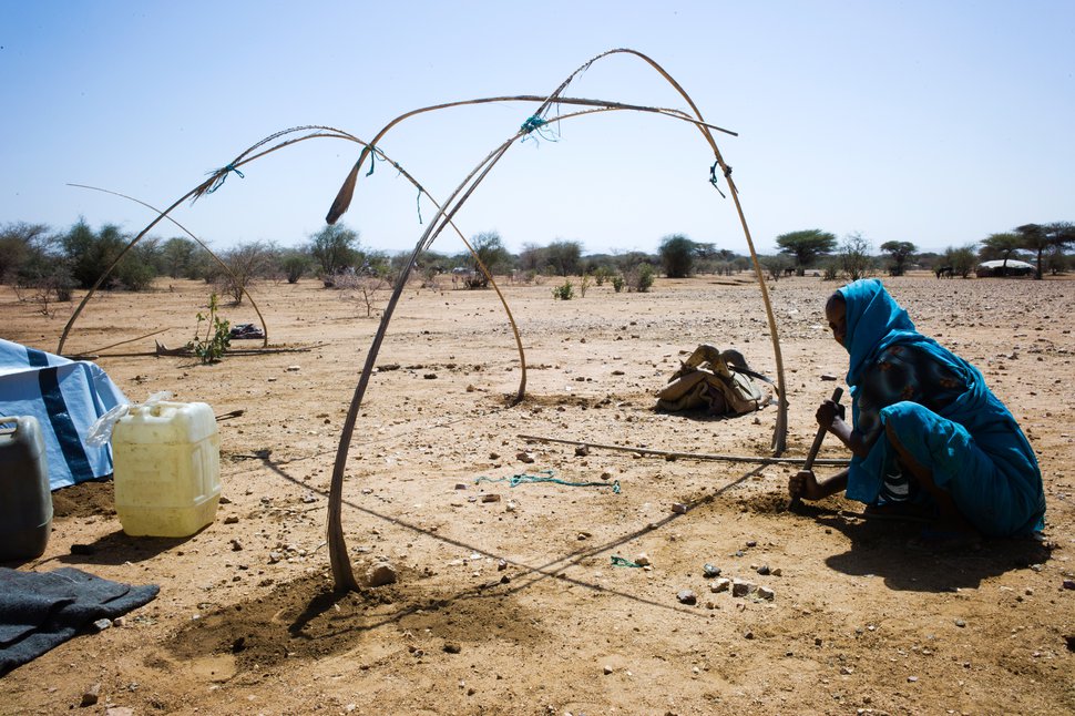 Lake Chad Famine Building Capacity Of Local Humanitarian Actors Will Take Time Development Today 0909