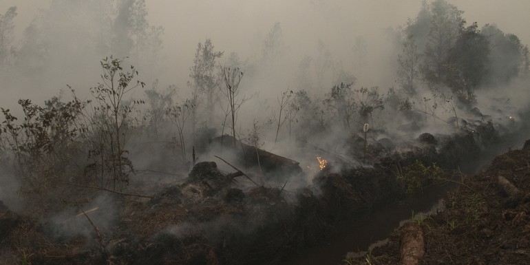 peat fires indonesia cifor Aulia Erlangga.jpg