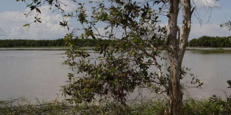 mekong_iucn_web_cropped.jpg